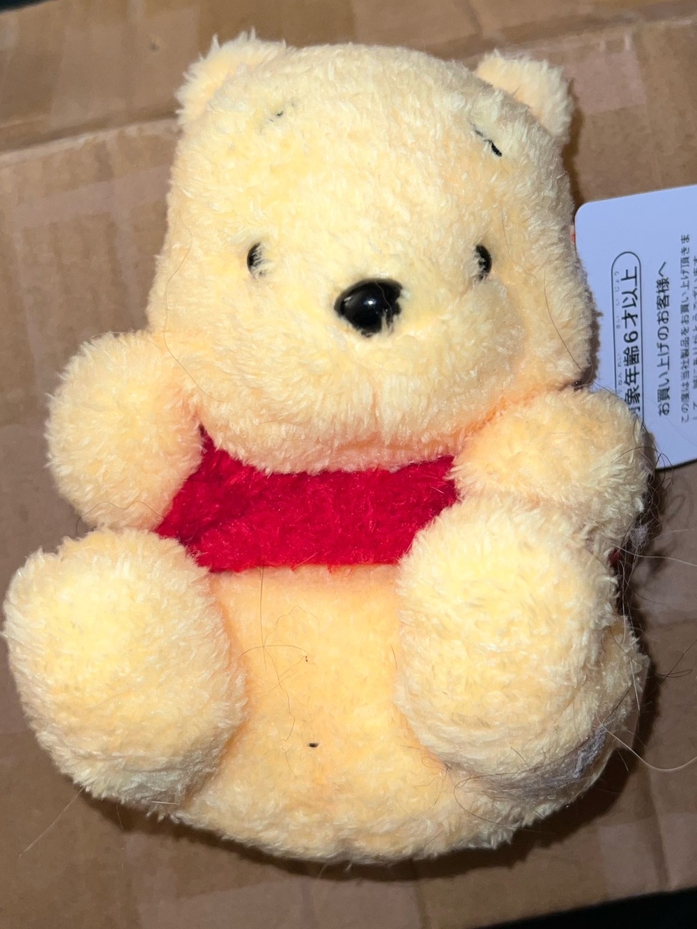 Disney Winnie the Pooh 6” Sekiguchi Kororin Plush